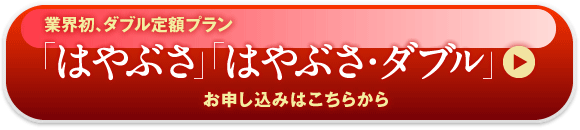 業界初、ダブル定額プラン 「はやぶさ」 「はやぶさ・ダブル」 お申し込みはこちらから