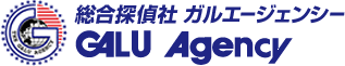 夫の浮気調査