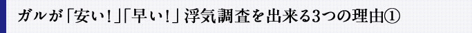 ガルが「安い！」「早い！」浮気調査を出来る3つの理由①