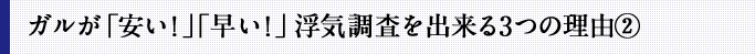 ガルが「安い！」「早い！」浮気調査を出来る3つの理由②