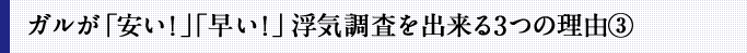 ガルが「安い！」「早い！」浮気調査を出来る3つの理由③