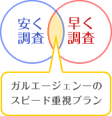 安く調査 早く調査 ガルエージェンーのスピード重視プラン