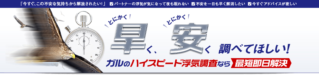 「今すぐ、この不安な気持ちから解放されたい！」 パートナーの浮気が気になって夜も眠れない 不安を一日も早く解消したい 今すぐアドバイスが欲しい とにかく とにかく く、 調べてほしい！ ガルのハイスピード浮気調査なら 最短即日解決
