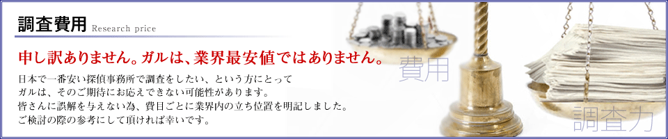 調査費用 Research price 申し訳ありません。ガルは、業界最安値ではありません。 日本で一番安い探偵事務所で調査をしたい、という方にとってガルは、そのご期待にお応えできない可能性があります。皆さんに誤解を与えない為、費目ごとに業界内の立ち位置を明記しました。ご検討の際の参考にして頂ければ幸いです。