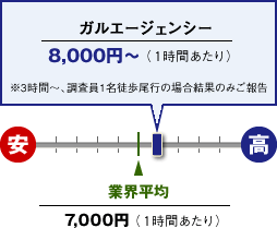 行動調査（簡易調査）