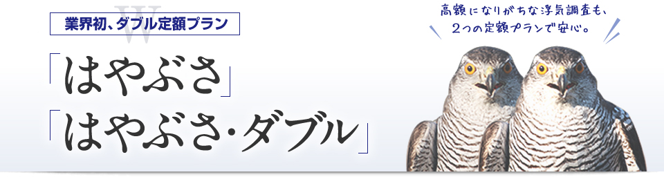 業界初、ダブル定額プラン 「はやぶさ」 「はやぶさ・ダブル」 高額になりがちな浮気調査も、2つの定額プランで安心。